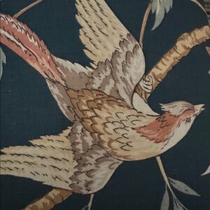 Meet your Posher, Akela